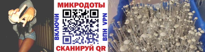 где продают   Нюрба  Галлюциногенные грибы мухоморы 